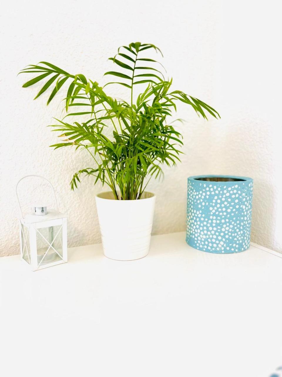 Precioso Apartamento Playa Pinedo バレンシア エクステリア 写真